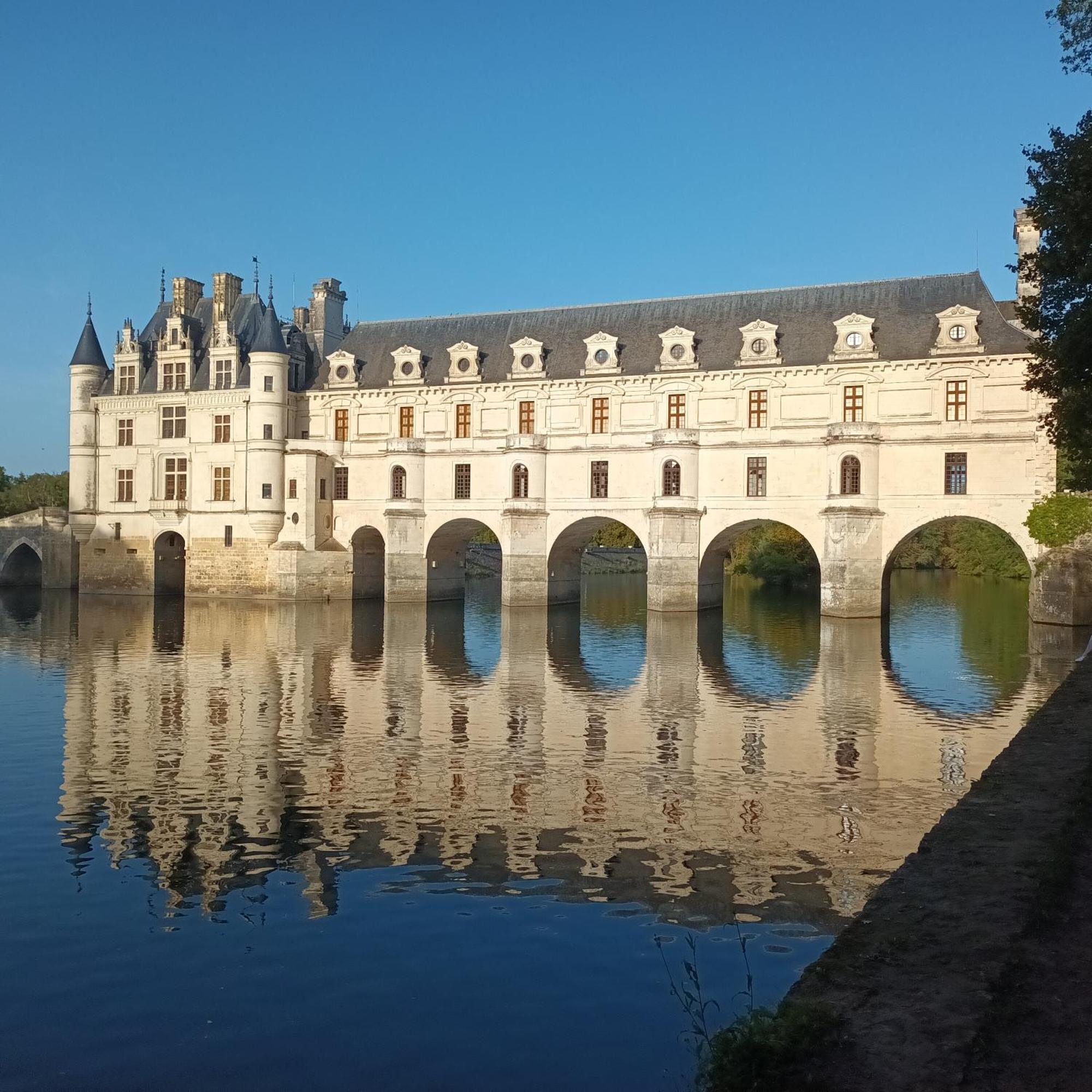 Au Nom Des Dames, Maison Et Table D'Hotes, Pres De Chenonceau Et Du Zoo De Beauval Faverolles-sur-Cher Екстер'єр фото